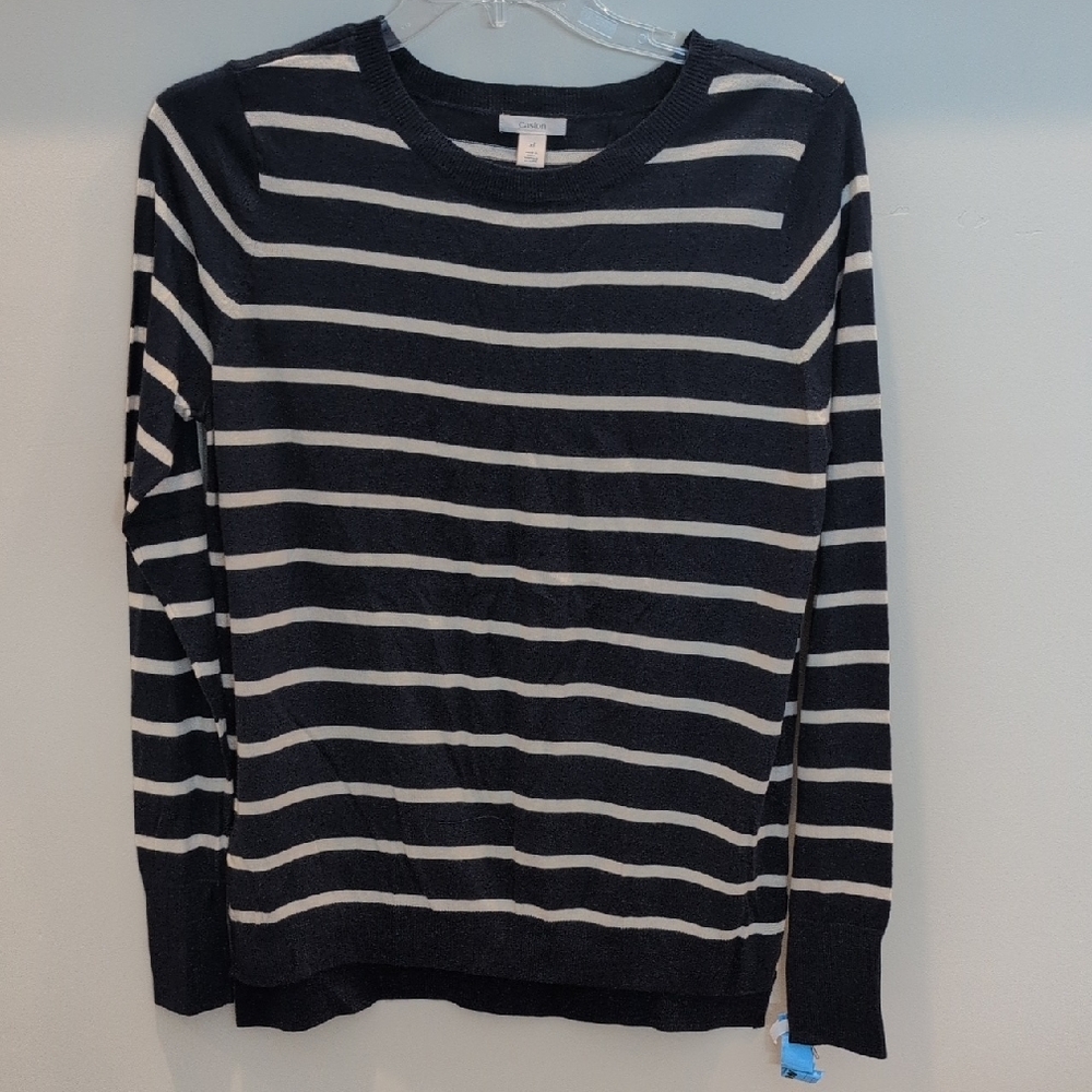 Caslon Blue and Beige Striped Crewneck Sweater
